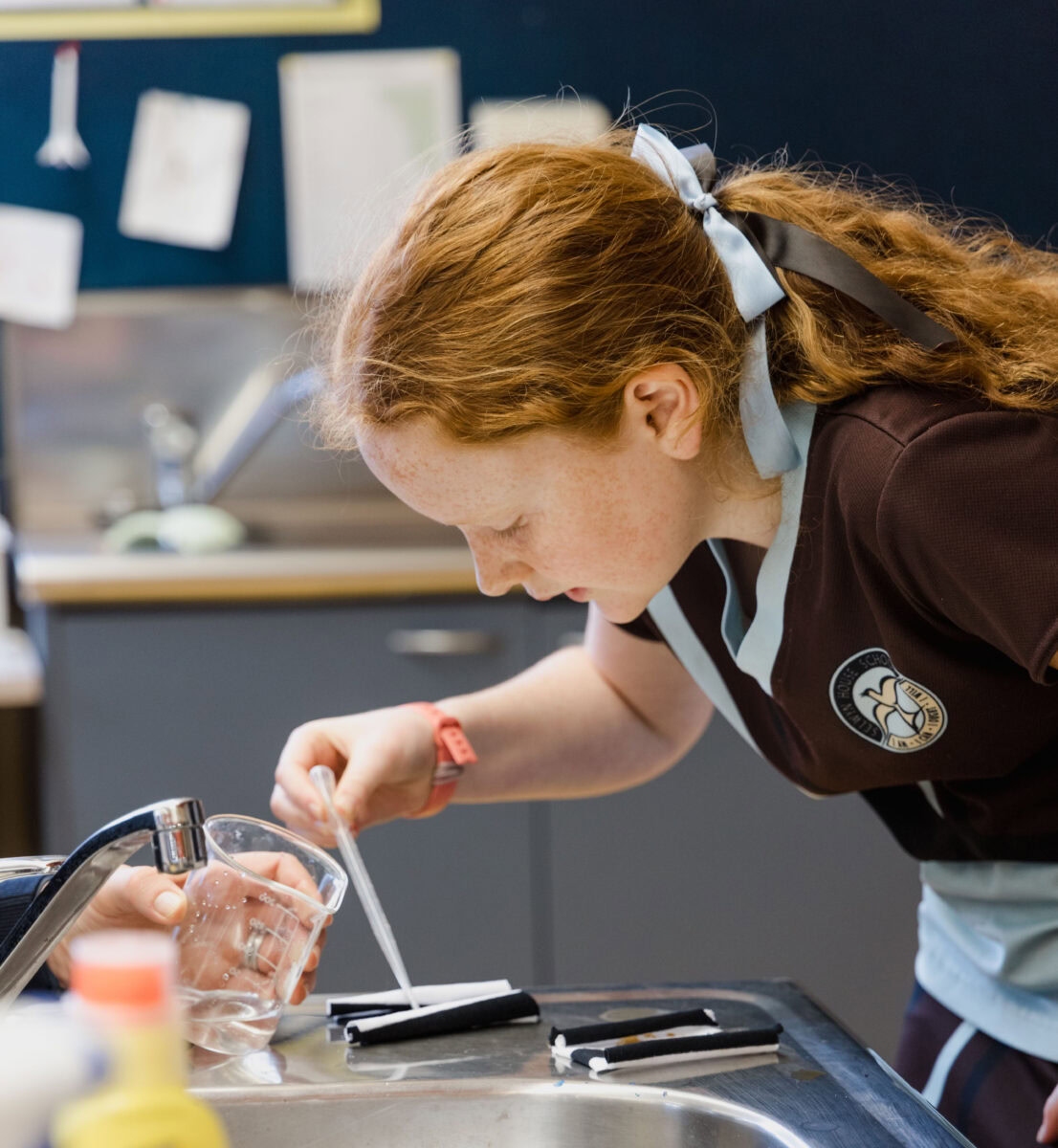 NgāHuarahiPūtaiao-2024-0Q0A8883