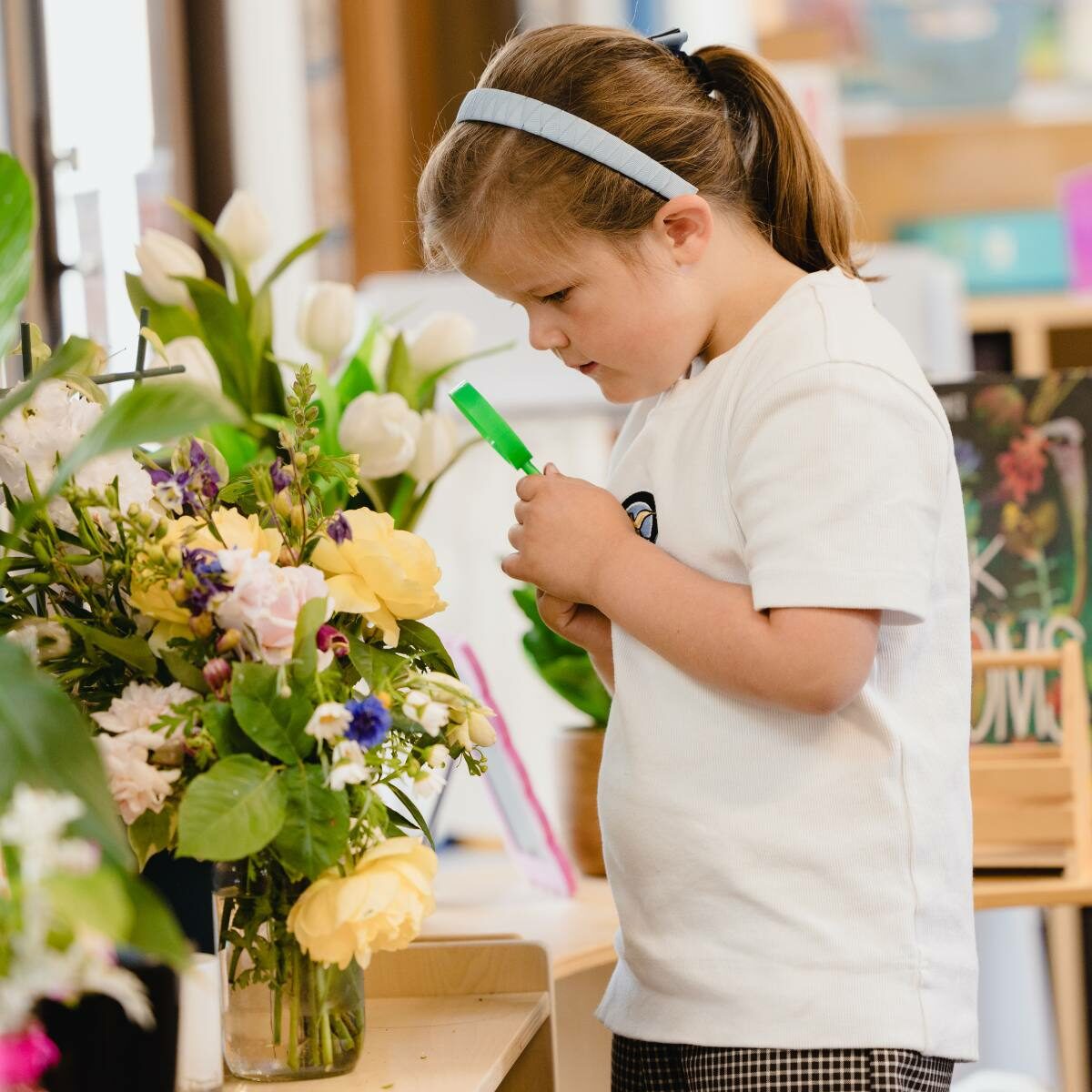 1200 x 1200 @ 72 DPI - Weave Square 2025 (1)